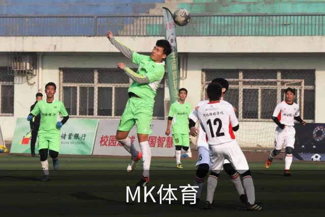 MK体育 公司简介